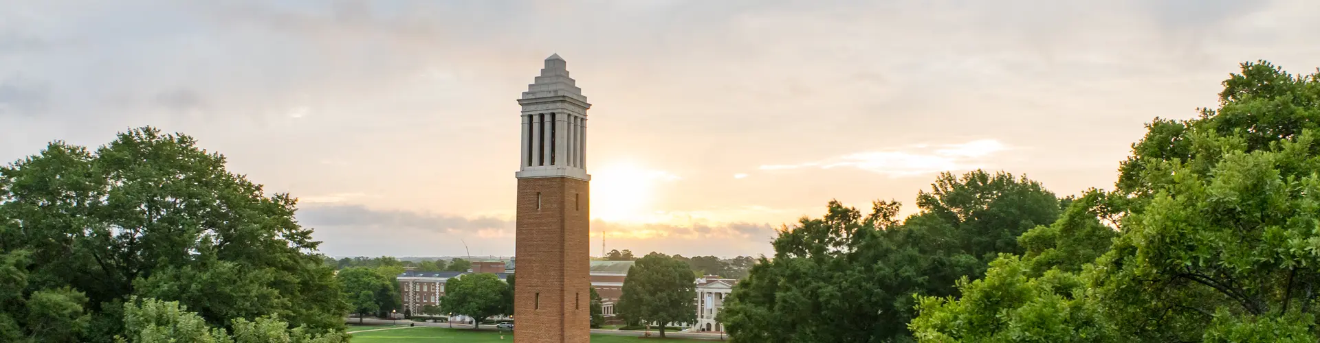 The University of Alabama cover
